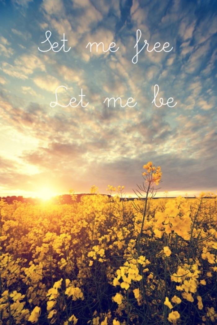 ff55c39c5bae4bf08b40f7bb3ea25fe2.png 图片 2.png